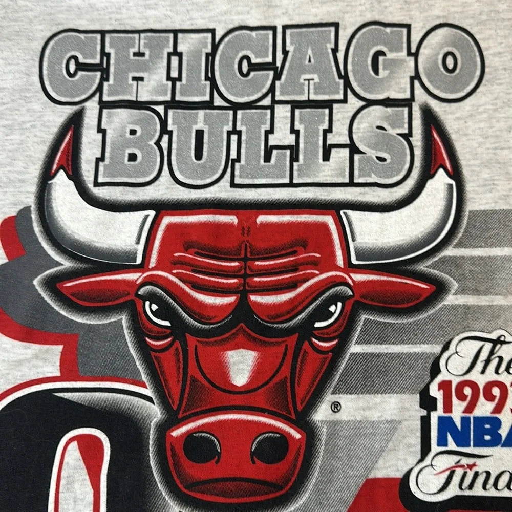 Vintage 1993 NWOT Chicago Bulls Champions Tee, Heathered Gray Made in USA Salem - Picture 8 of 12
